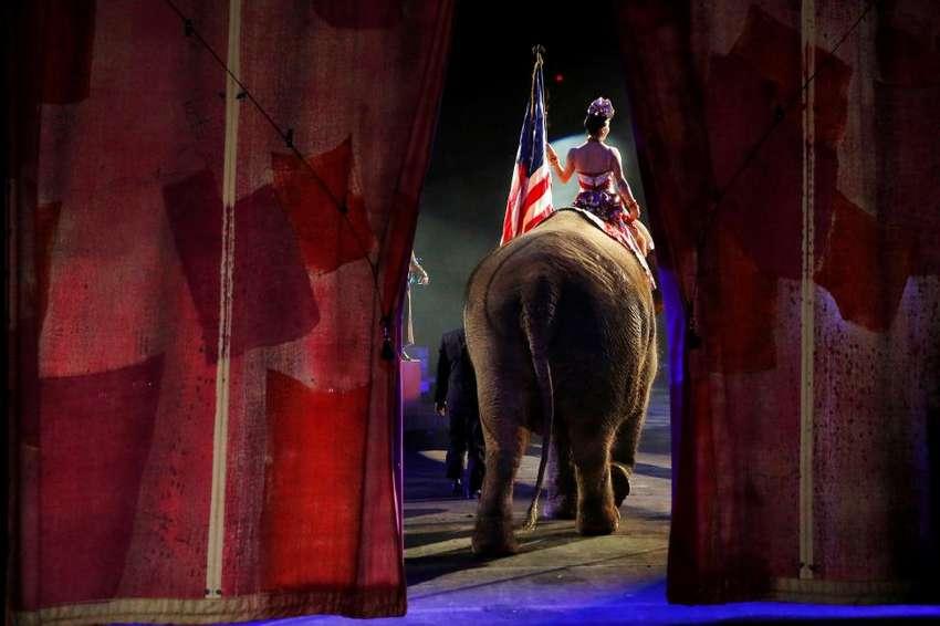 One of Ringling Bros and Barnum & Bailey Circus' performing elephants enters the arena for it's final show in Wilkes-Barre, Pennsylvania, May 1, 2016. REUTERS/Andrew Kelly