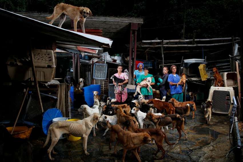 (L-R) Maria Silva, Milena Cortes, Maria Arteaga, Jackeline Bastidas and Gissy Abello pose for a picture at the Famproa dogs shelter where they work, in Los Teques, Venezuela, August 25, 2016. REUTERS/Carlos Garcia Rawlins