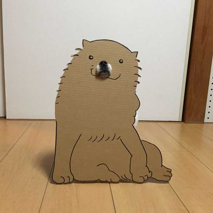 dog-costume-cardboard-cutouts-myouonnin-19-580f54122d248__605