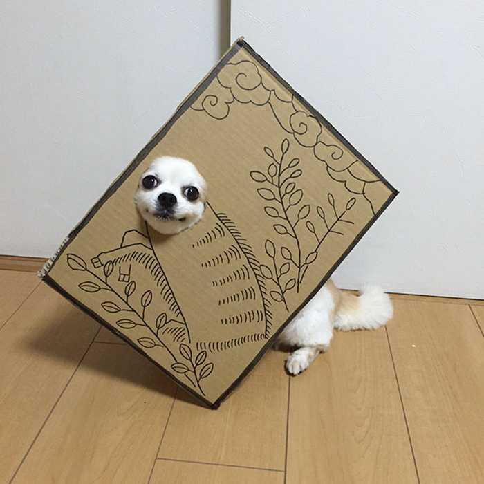 dog-costume-cardboard-cutouts-myouonnin-27-580f5424504bf__605