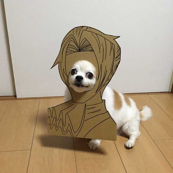 dog-costume-cardboard-cutouts-myouonnin-55-580f546766cf6__605