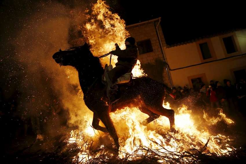 A man rides a horse through the flames during the "Luminarias" annual religious celebration on the eve of Saint Anthony's day, Spain's patron saint of animals, in the village of San Bartolome de Pinares, northwest of Madrid, Spain, January 16, 2016. According to tradition that dates back 500 years, people ride their horses through the narrow cobblestone streets of this small village to purify the animals with the smoke of the bonfires. REUTERS/Susana Vera