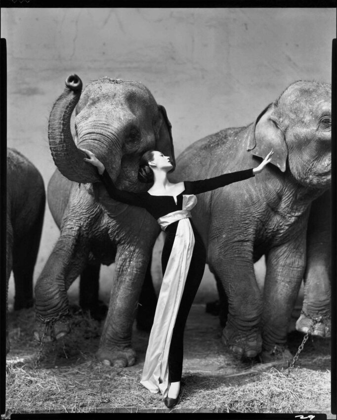 "Довима со слонами, вечернее платье от Dior" Ричард Аведон