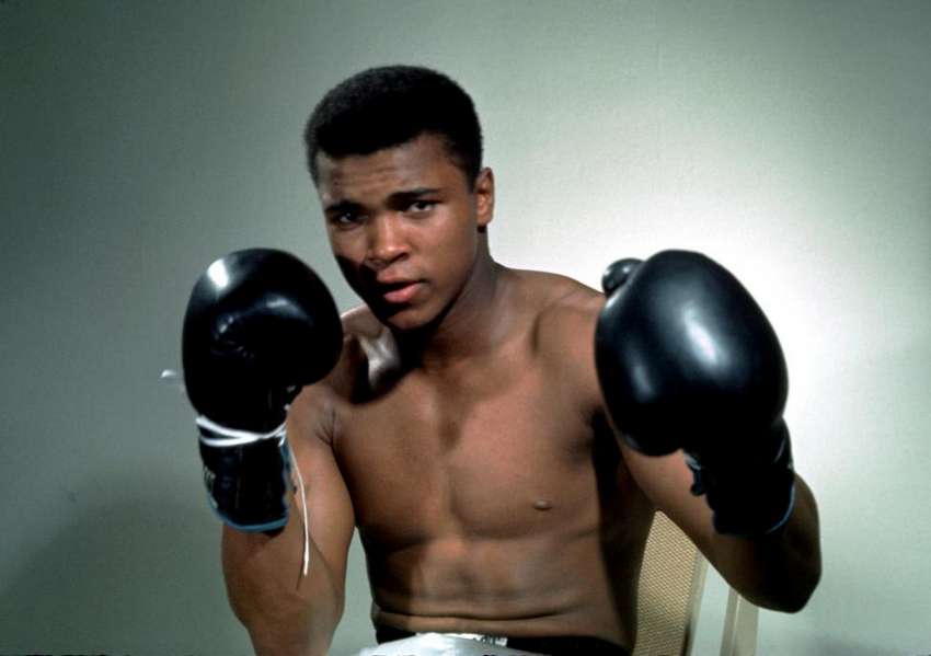 Muhammad Ali poses with gloves in this undated portrait.