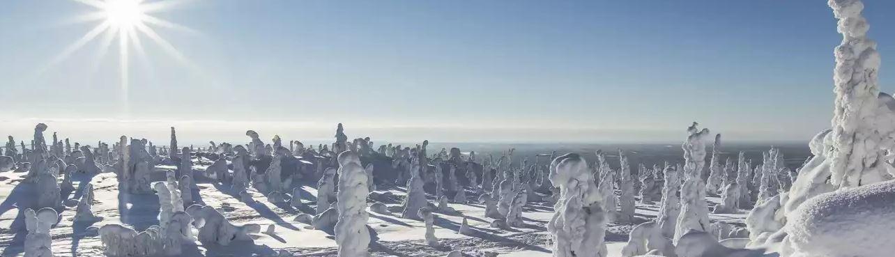 Зимняя сказка наяву: 20 потрясающих фото Лапландии