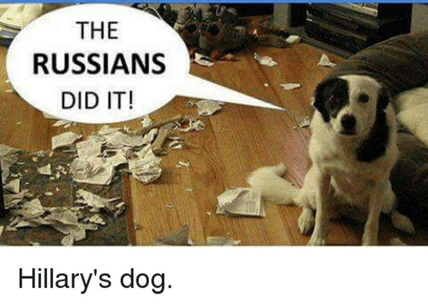 the-russians-did-it-hillarys-dog-8953138
