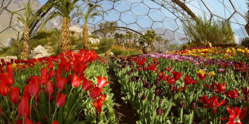 Как выглядит "Проект Эдем" - самый большой ботанический сад в мире