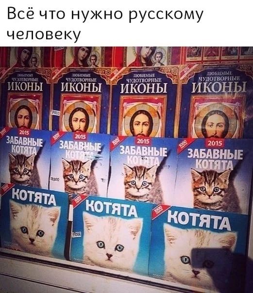 Коты в России больше, чем коты