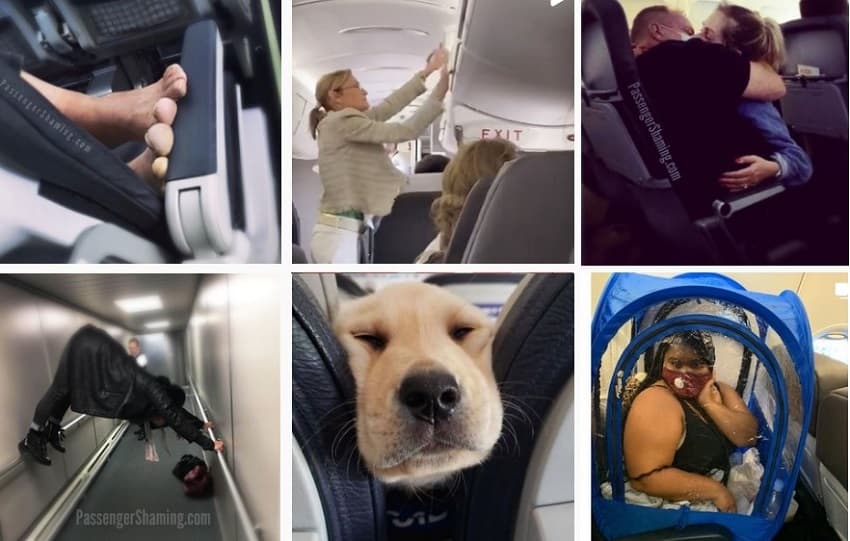 20 шокирующих фотографий и видео очень плохих пассажиров самолетов